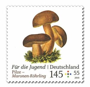 Briefmarke Maronen-Roehrling 2018