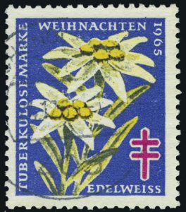 Zinnober Zacke Briefmarken Spiegel Zaehnung BMS 9 2018 (5)