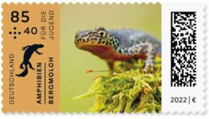 Briefmarke Deutschland Bergmolch